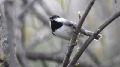 DSCN0352_3.MP4