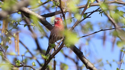 MVI_0849_2.MP4